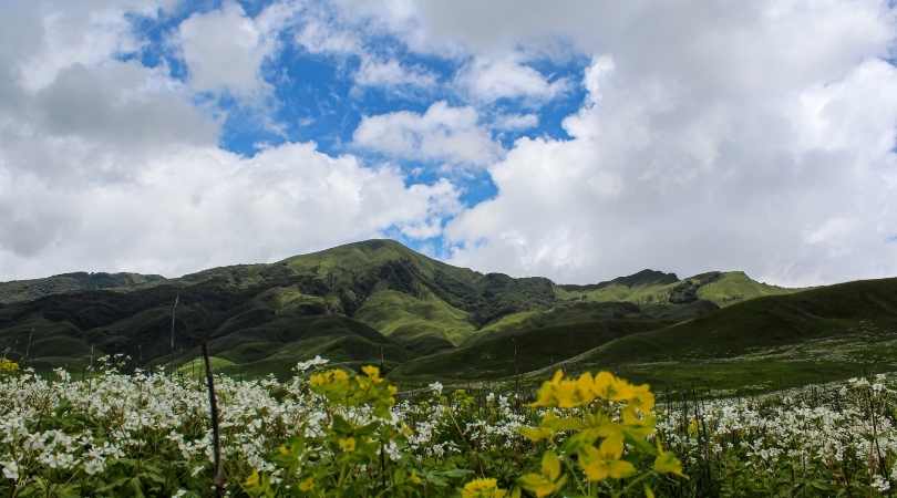 Dzukou Valley 