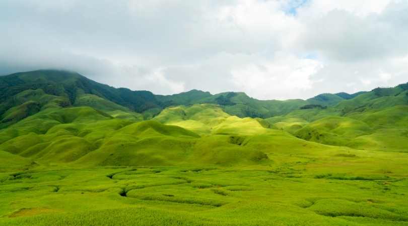 Dzukou valley in august