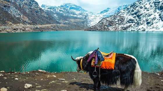 Sikkim Tourism