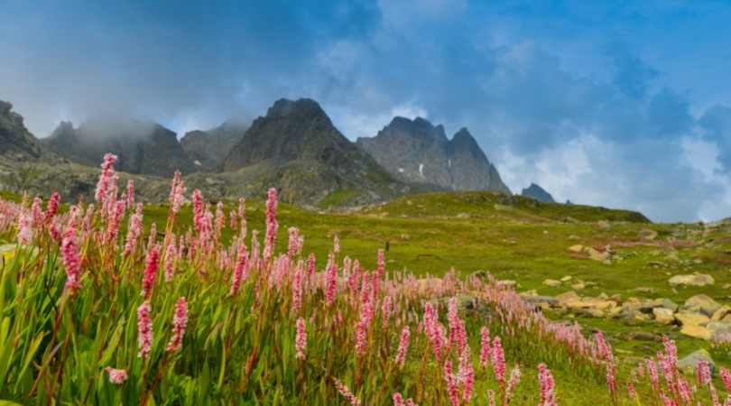 valley of flowers