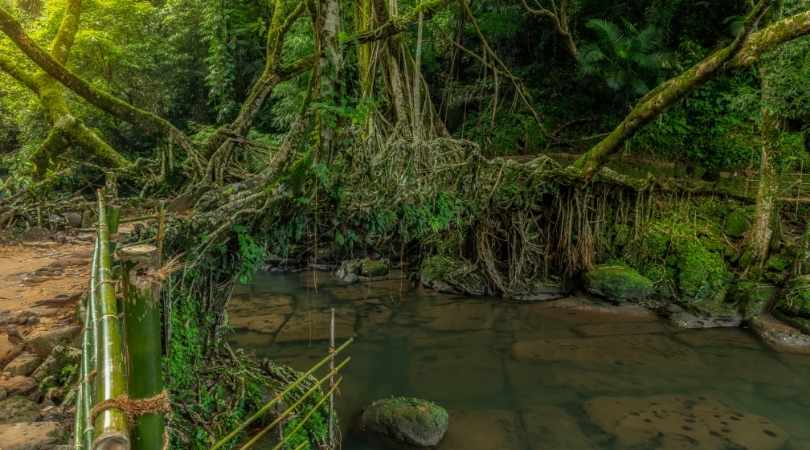 Cherrapunji in summer