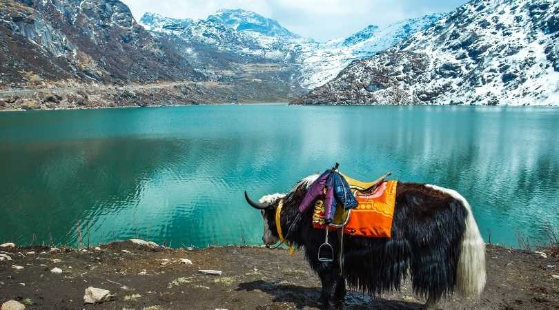 Gangtok in autumn