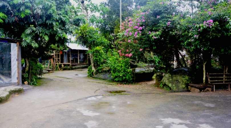 Mawlynnong village