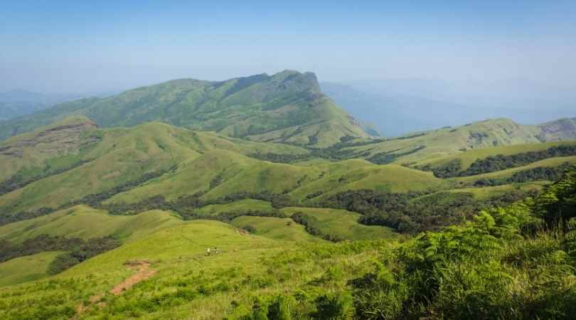 Chikmagalur in october