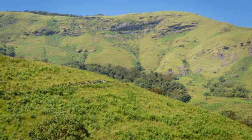 Chikmagalur in december