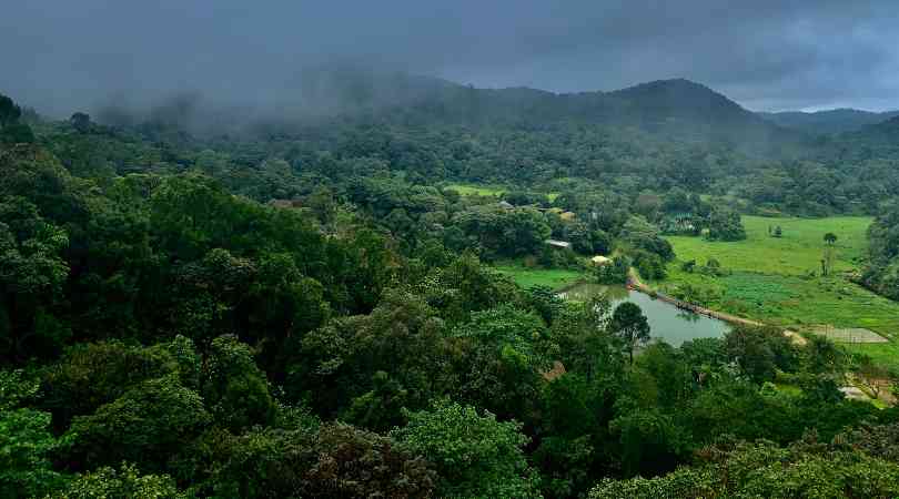 Coorg in december