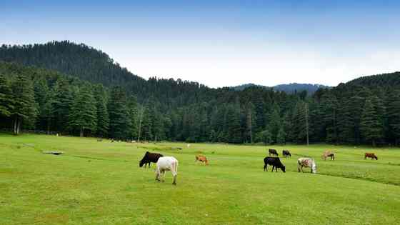 best time to visit dalhousie