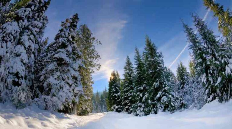 India Weather in December Explained