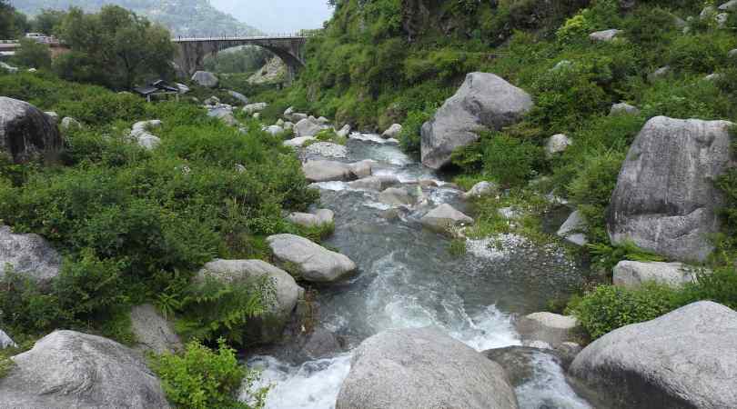 rock garden