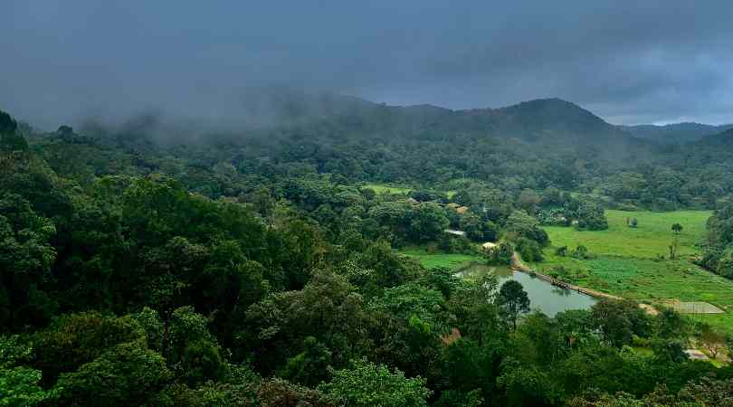 Coorg in winter