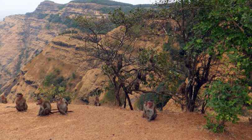 Monkey Point Matheran