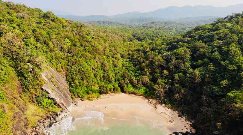 Butterfly beach