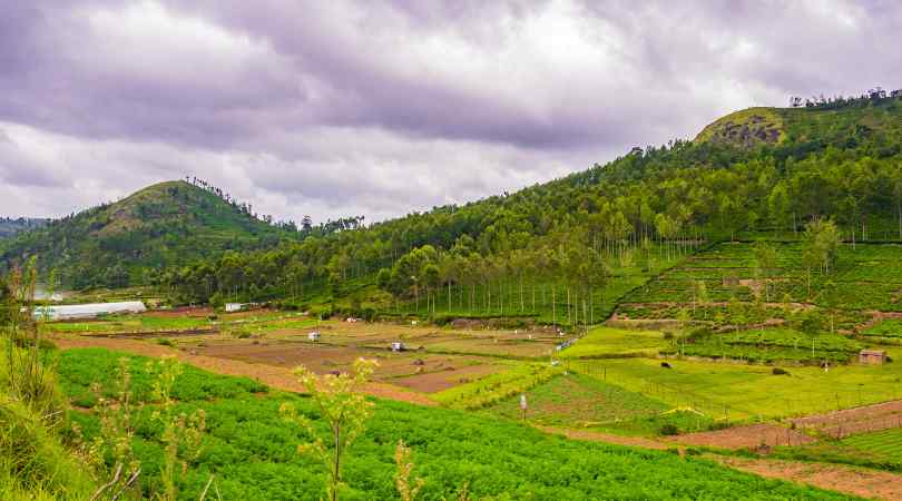 Kotagiri village