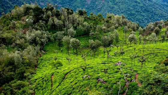 best time to visit ooty