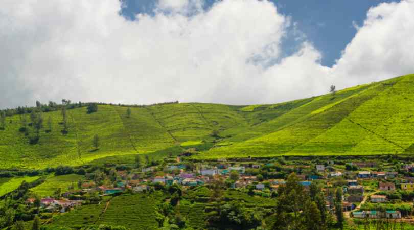 best time to visit ooty