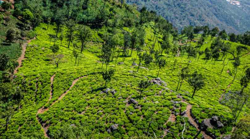 ooty in winter