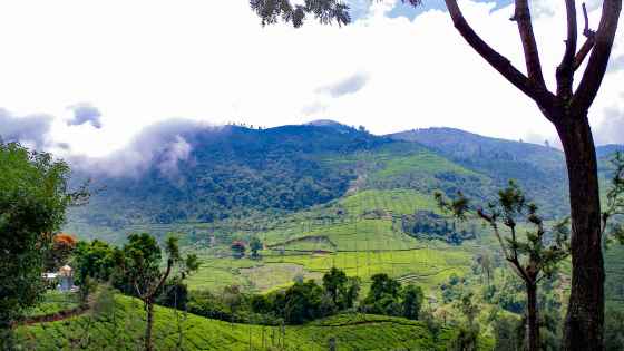 places to visit in coonoor