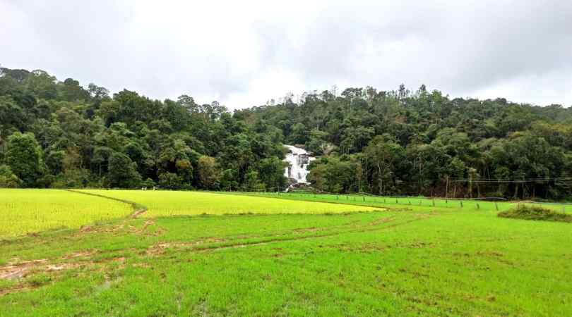 Abbimatta Falls