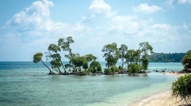 laxmanpur beach