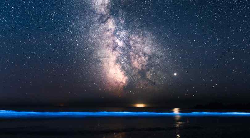 night kayaking in Andaman