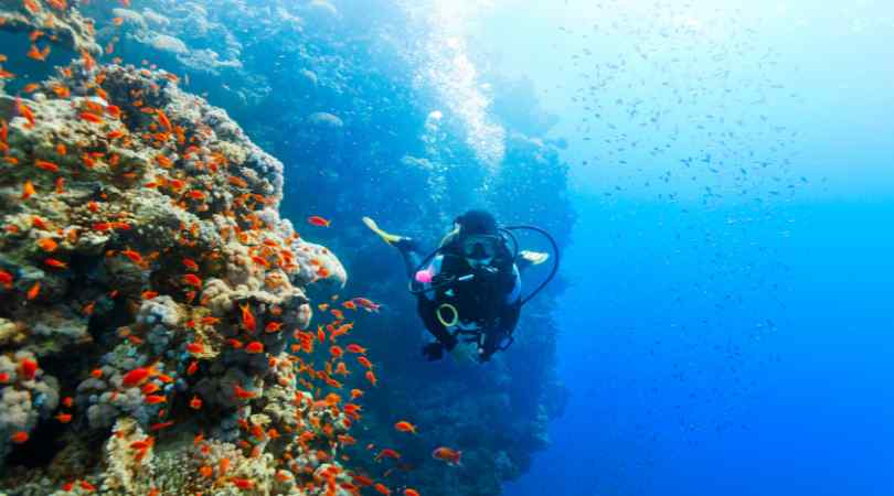 scuba diving in Andaman