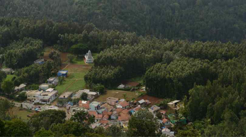 yercaud in summer