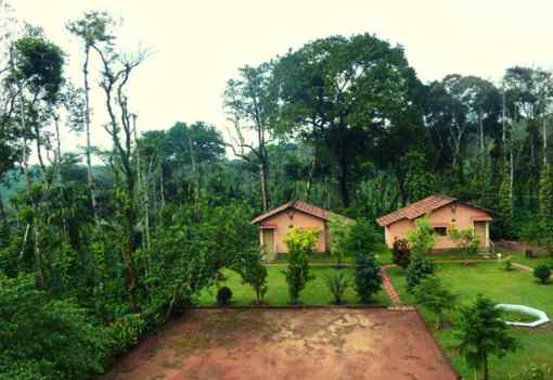 Coorg Coffee Camp