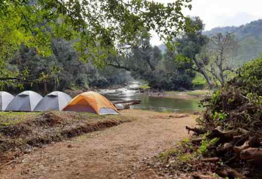 Coorg River Rock