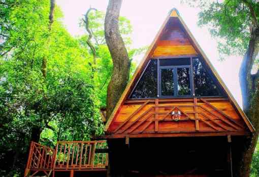 ECO Nest Treehouse