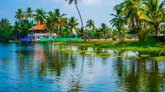 best-resorts-in-kumarakom