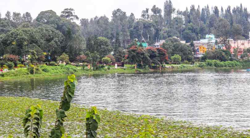 yercaud lake