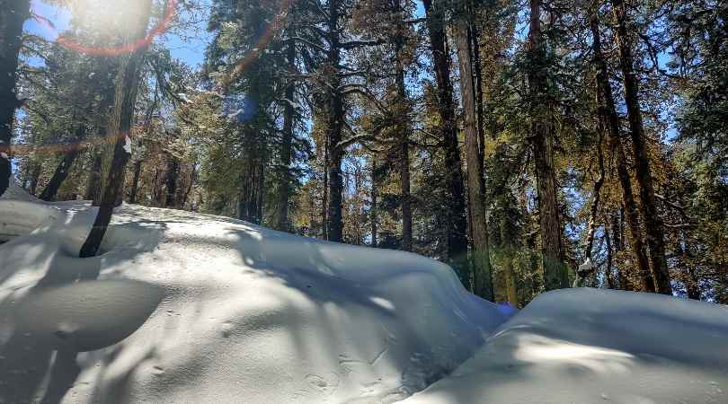 Dhanaulti 