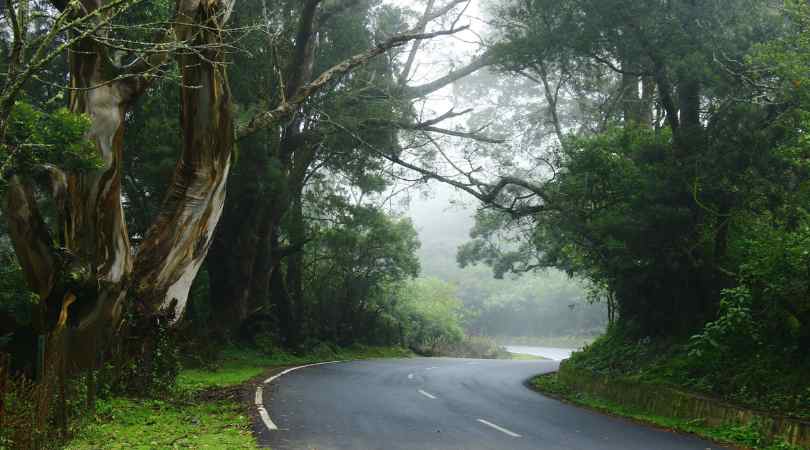 Gudalur Ooty