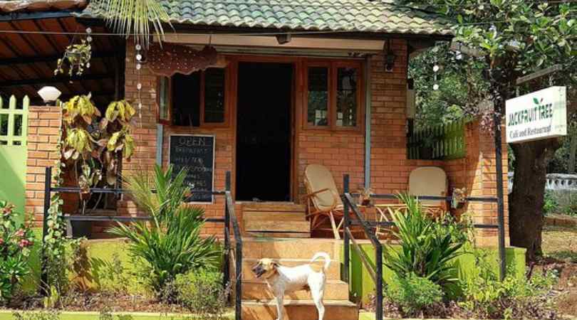 jackfruit tree cafe