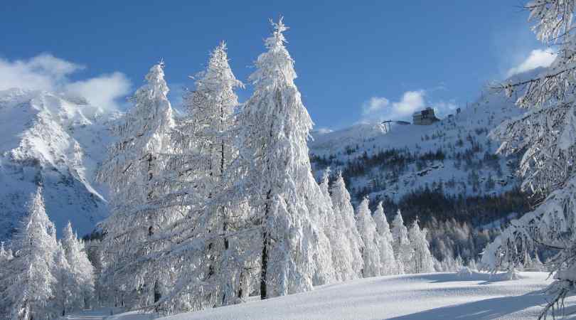 Munsiyari snowfall